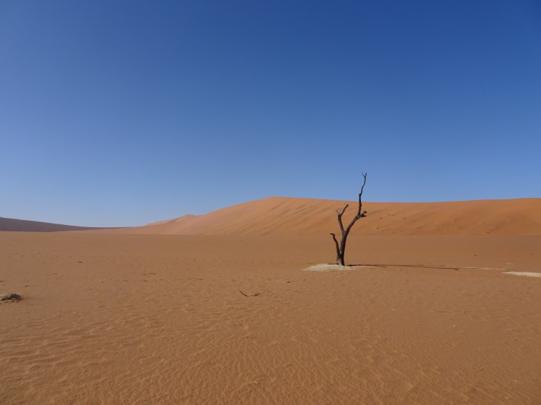 fd5296c9-d67c-4c5d-b2b7-b21f7716a40e